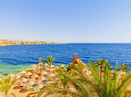 Kızıldeniz Akvaryumu Sharm El Sheikh Turu 5 Gece THY ile (4* DoubleTree by Hilton Sharks Bay Resort vb.)