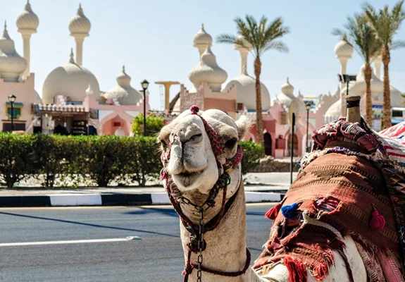 Sharm El Sheikh Kızıldeniz Rotası Thy Ile 4 Gece
